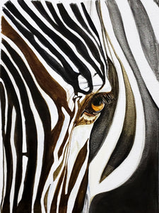 Animals, Zebra~805